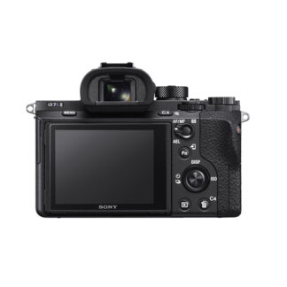 Sony a7s II back